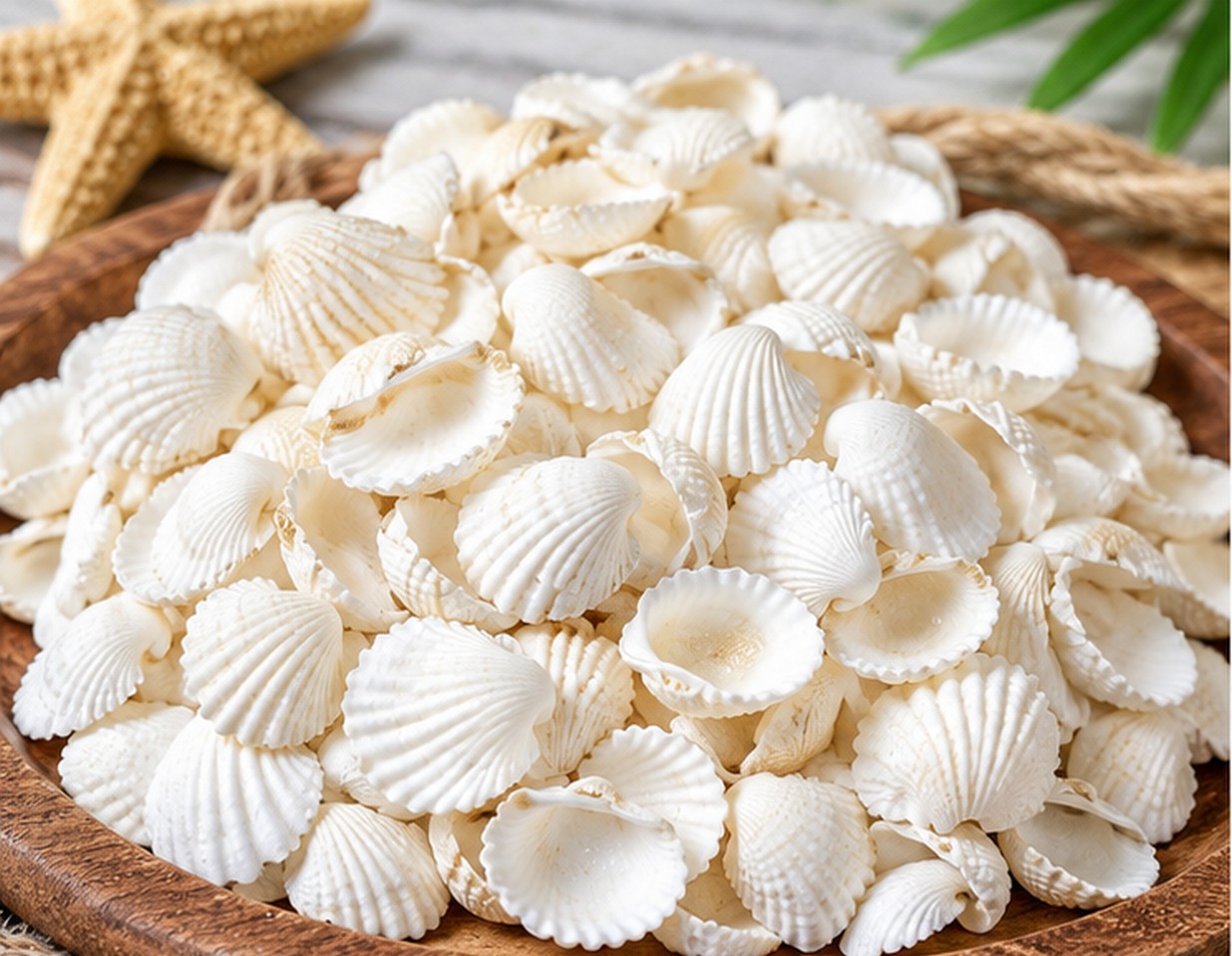 Tiny White Cockle Shells - Decorative Shells for Aquarium, Vase Filler & DIY Craft (100g Pack)